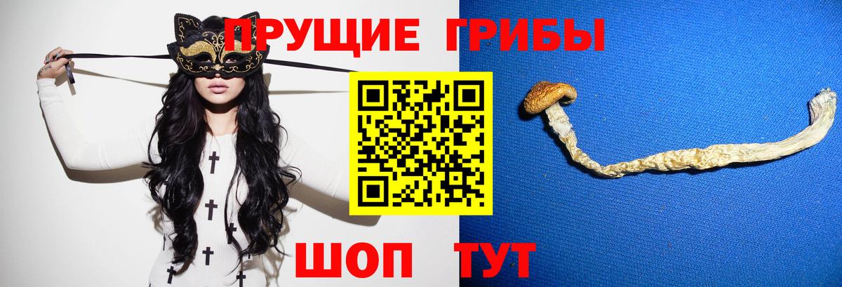 Галлюциногенные грибы Psilocybine cubensis  Вход с VPN  Можайск  Галлюциногенные грибы мицелий 