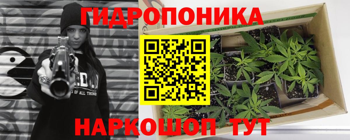 Конопля план Можайск